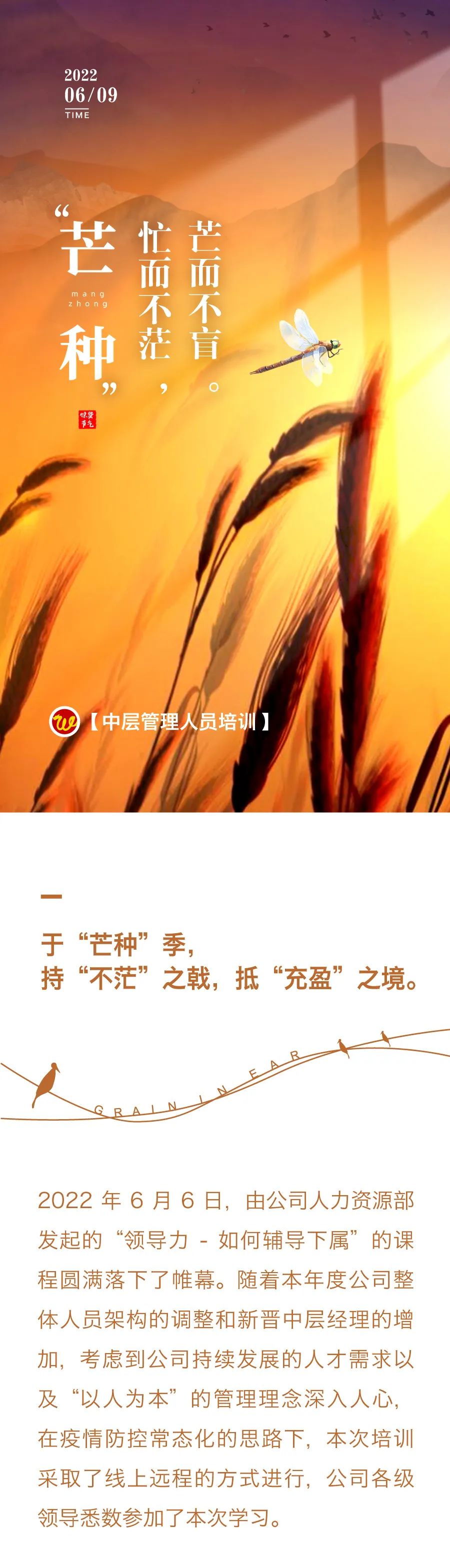 “芒種”忙而不茫，芒而不盲?！袑庸芾砣藛T培訓1.jpg